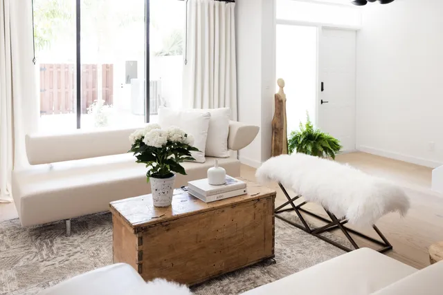 a living room with furniture and a potted plant