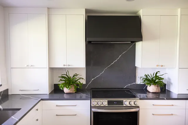 a kitchen with a potted plant on the counter and cabinets