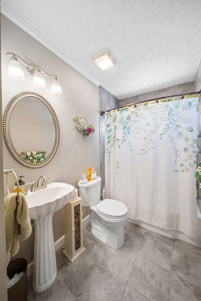 4300 Green Road Ellaville, GA 31806 - Photo 21 of 41 a bathroom with a sink toilet and a mirror
