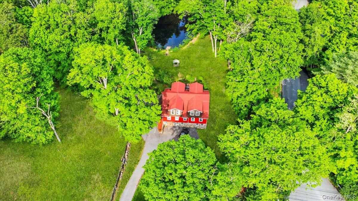 161 Goldens Bridge Road Katonah, NY 10536 - Photo 40 of 44 a view of a tree with a flower