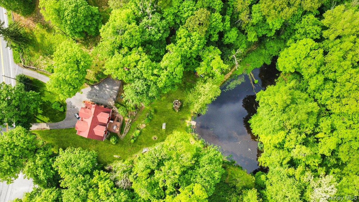 161 Goldens Bridge Road Katonah, NY 10536 - Photo 4 of 44 a picture of plants