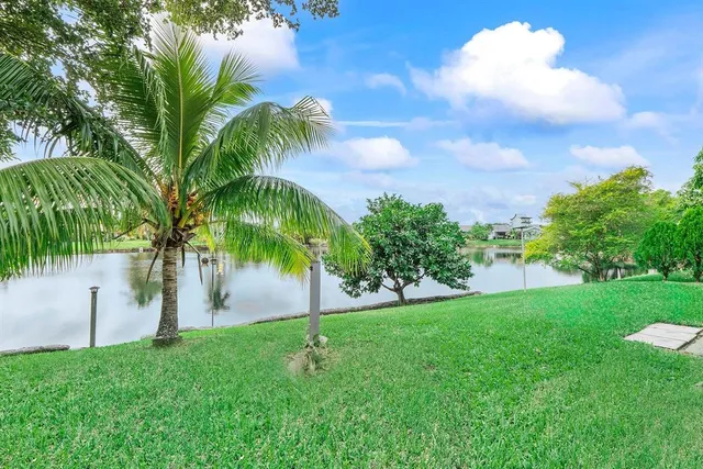 a view of a yard and palm trees
