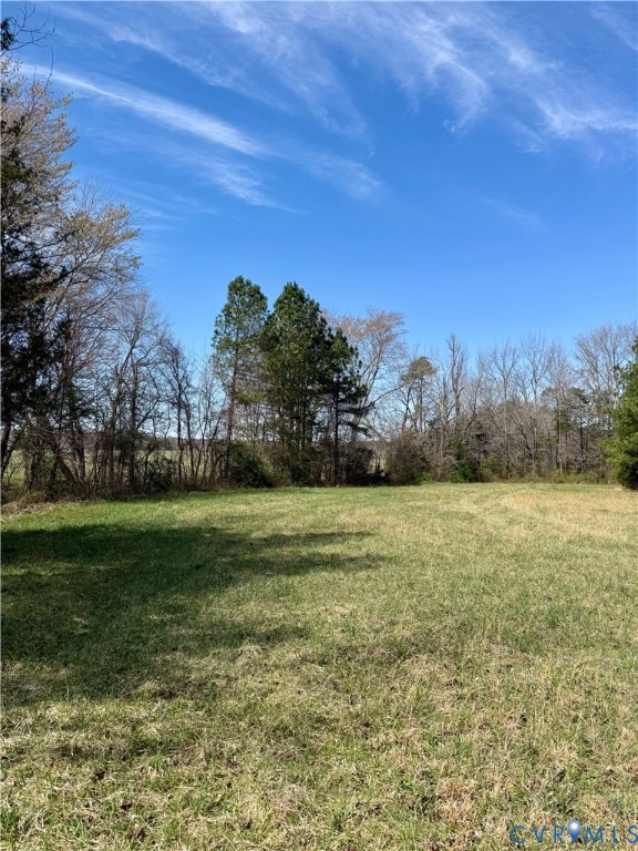 0 Mountain Road Montpelier, VA 23192 - Photo 20 of 24