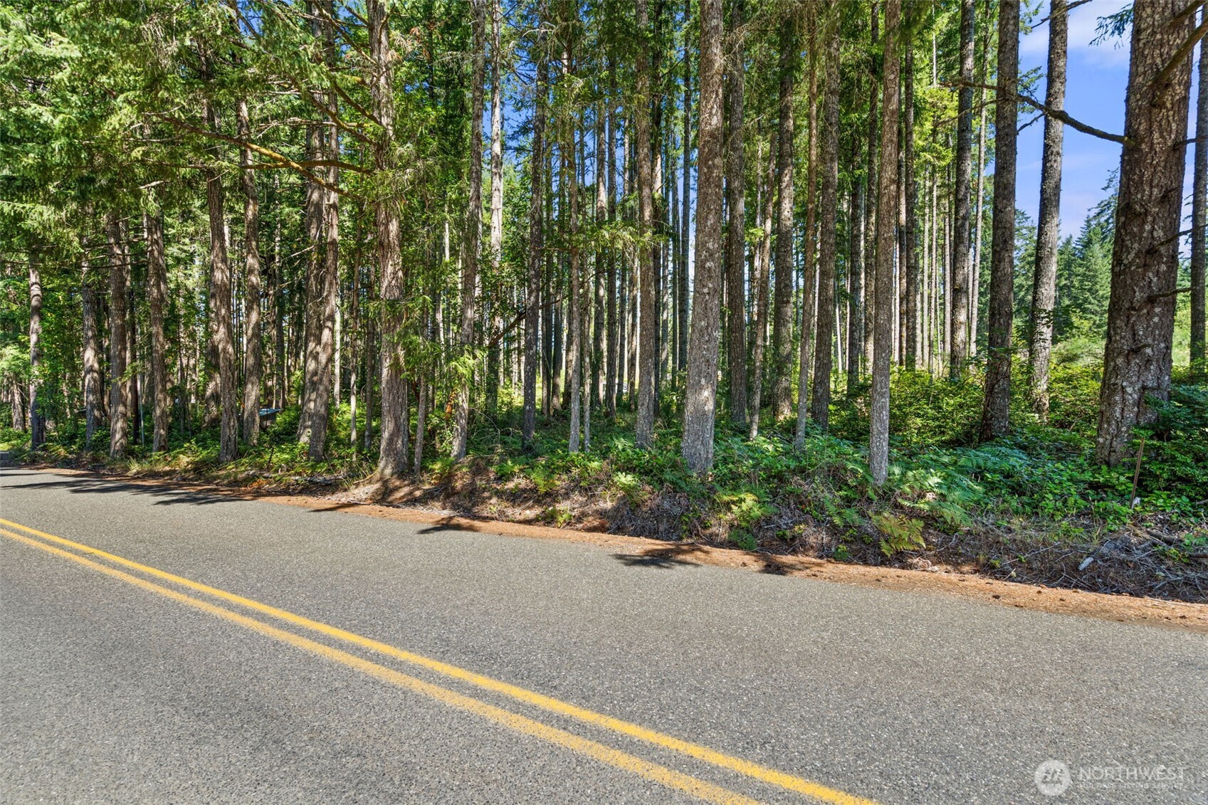 1030 East Phillips Lake Road Shelton, WA 98584 - Photo 21 of 21