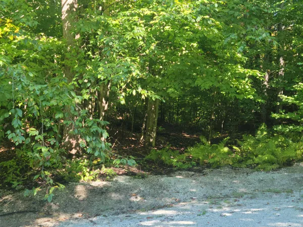 $165,000 | Lot 8 Barts Hill Road, Unit 8, Killington, VT 05751