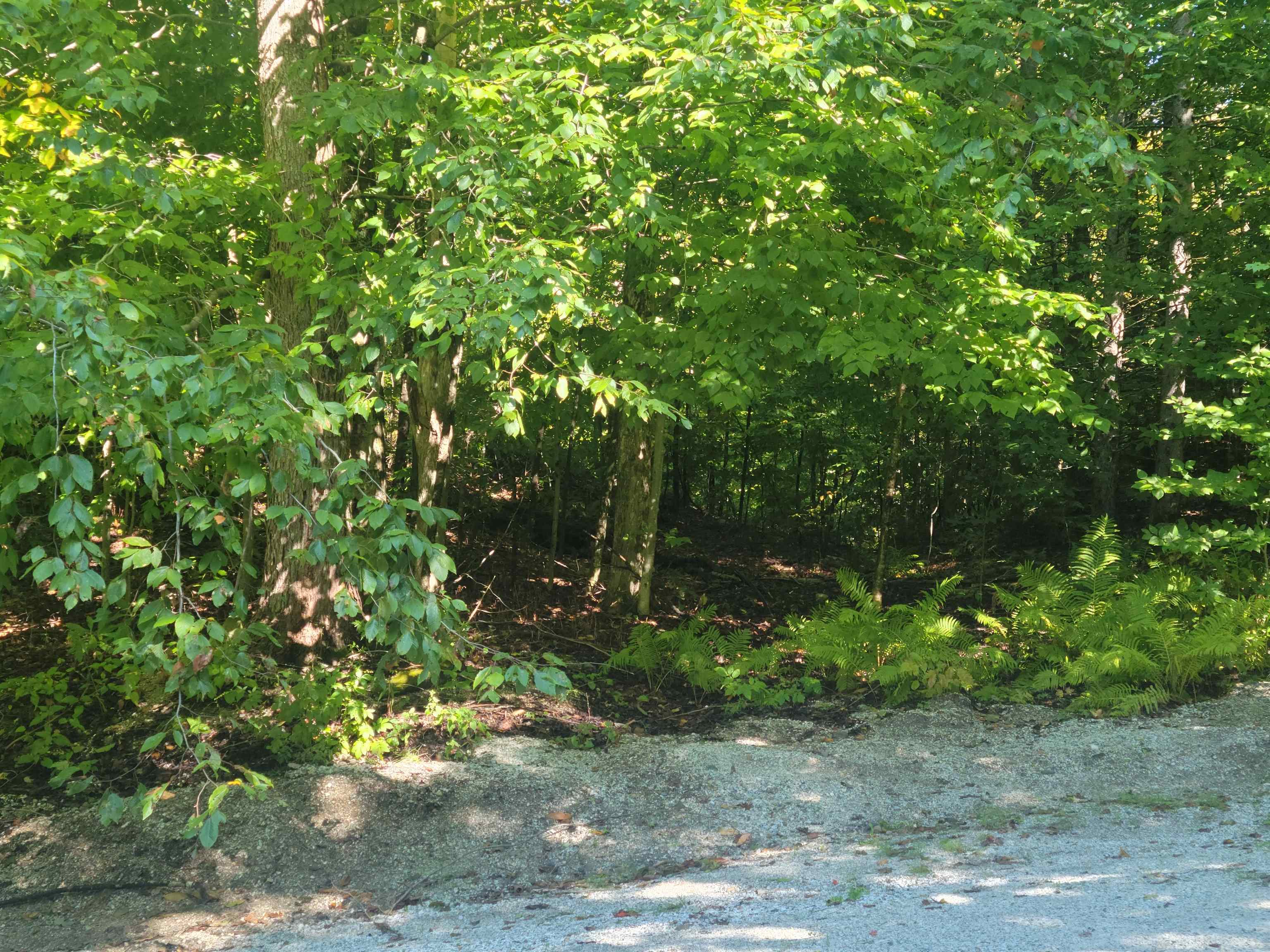 Lot 8 Barts Hill Road, Unit 8 Killington, VT 05751 - Photo 4 of 7