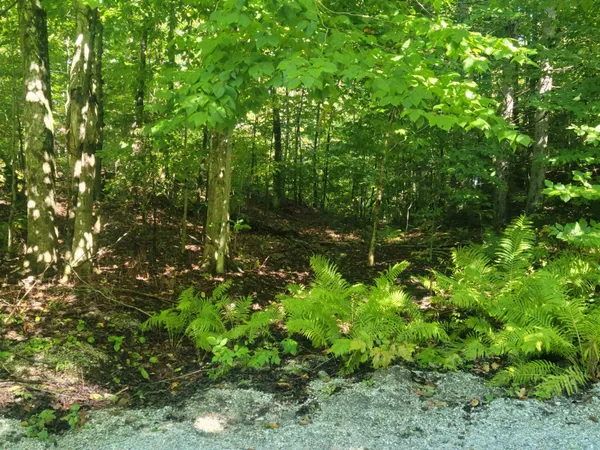 $165,000 | Lot 8 Barts Hill Road, Unit 8, Killington, VT 05751