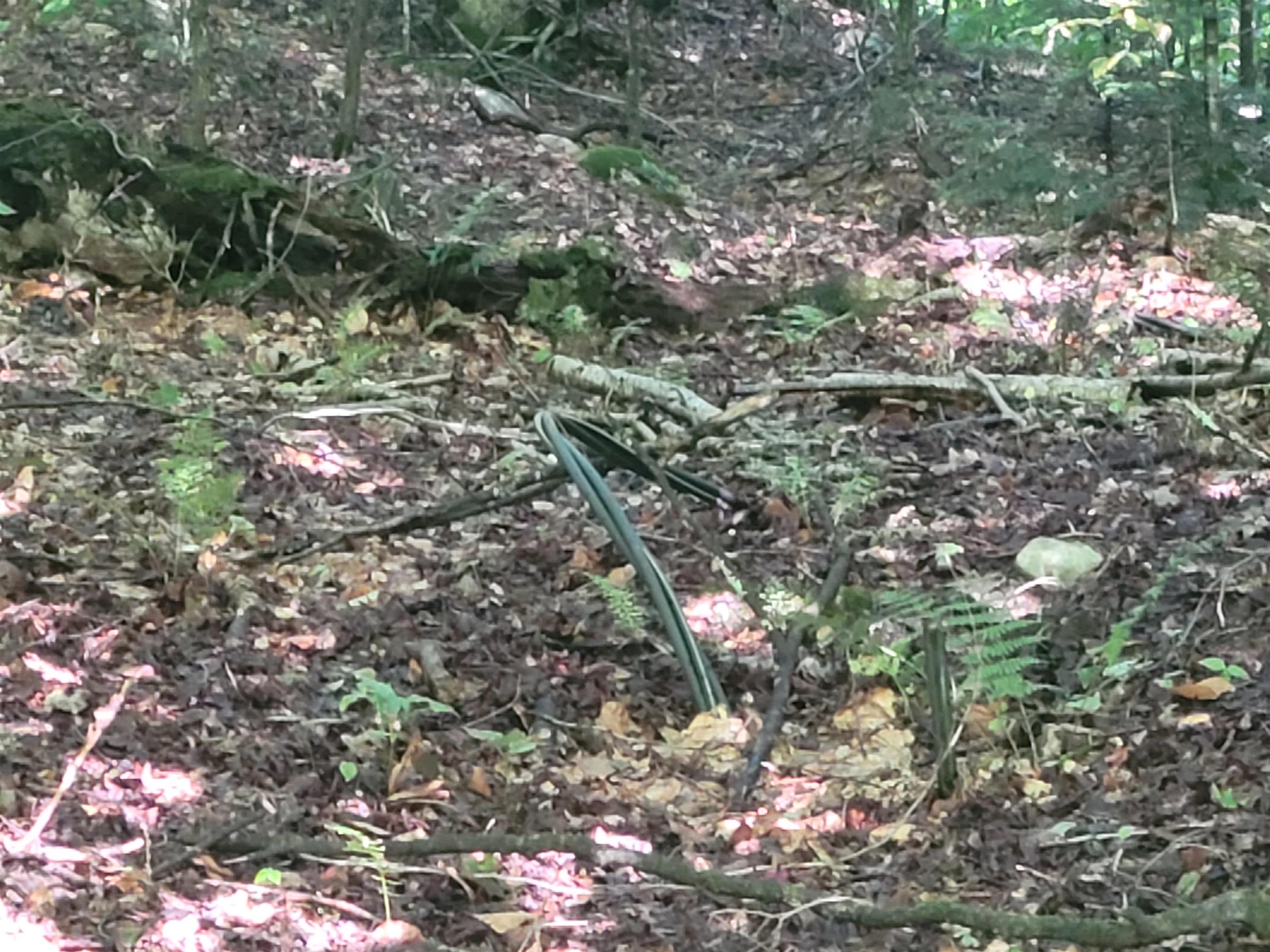 Lot 8 Barts Hill Road, Unit 8 Killington, VT 05751 - Photo 7 of 7