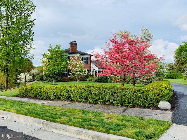 Attractive landscaping!