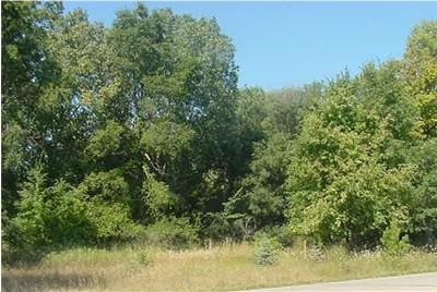 Lt4 North Charley Bluff Road Beloit, WI 53511 - Photo 1 of 1