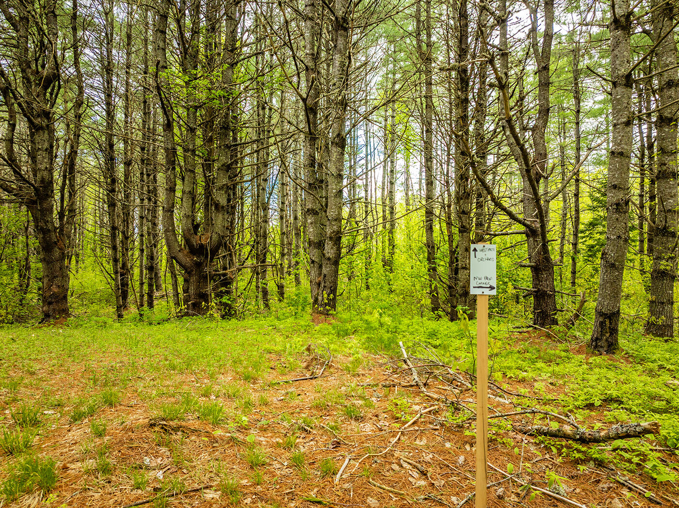 572 Old County Road Washington, ME 04574 - Photo 14 of 32 DJI_0227
