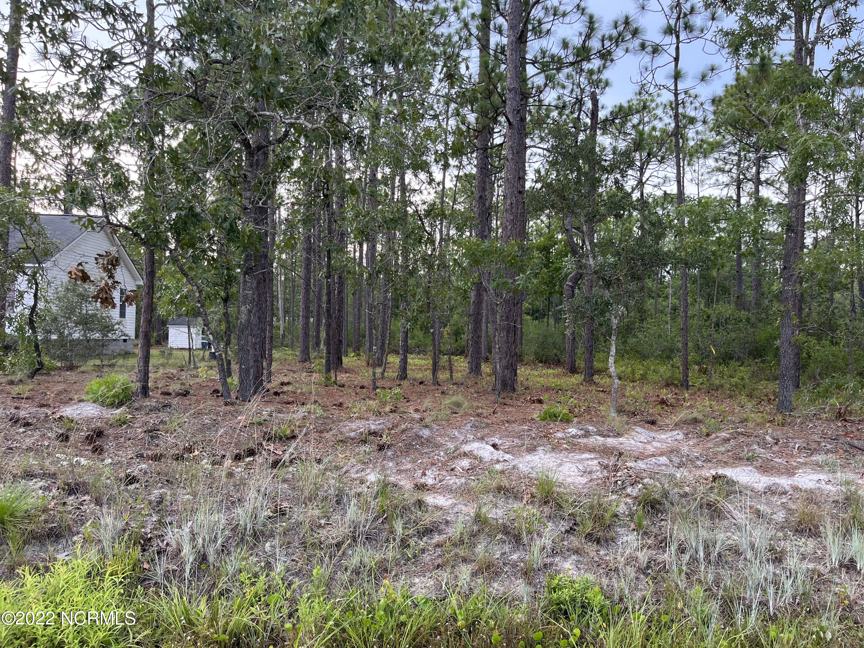 L-114 Edgewood Road Southport, NC 28461 - Photo 1 of 3 IMG-3259