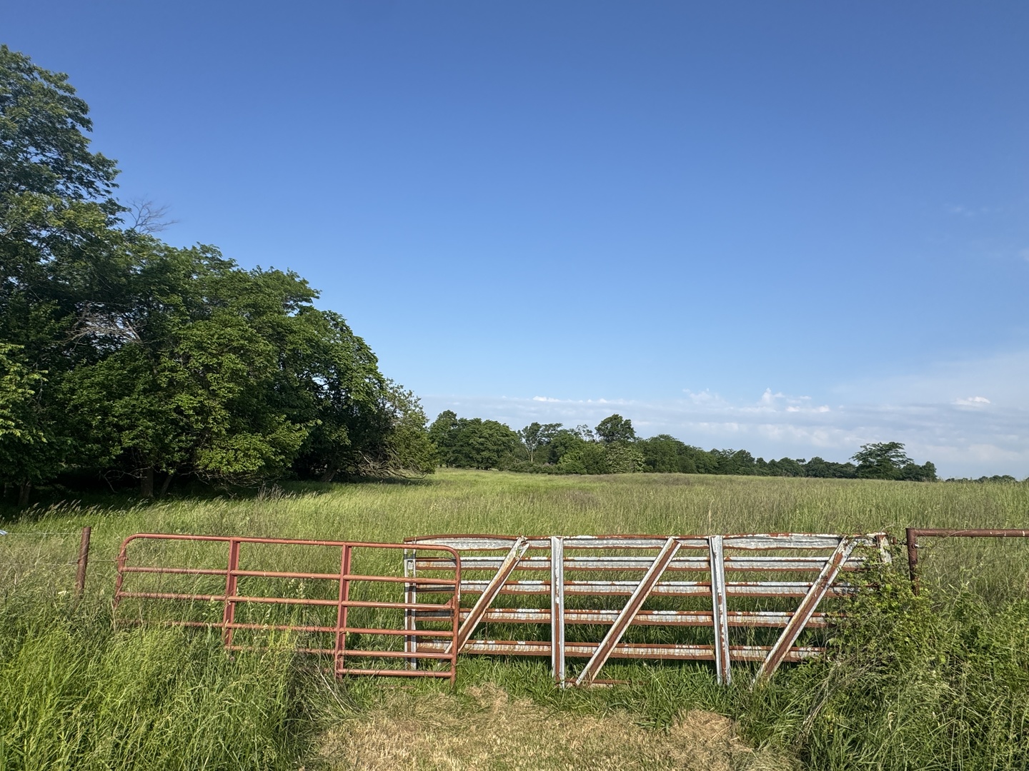 0 County Highway 29 Road Rinard, IL 62878 - Photo 21 of 28