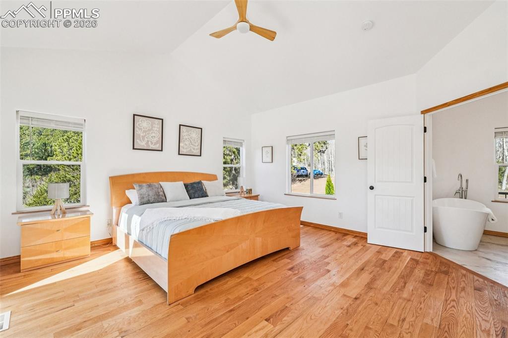 507 Yorktown Road Cripple Creek, CO 80813 - Photo 22 of 50 a spacious bedroom with a bed and a large window
