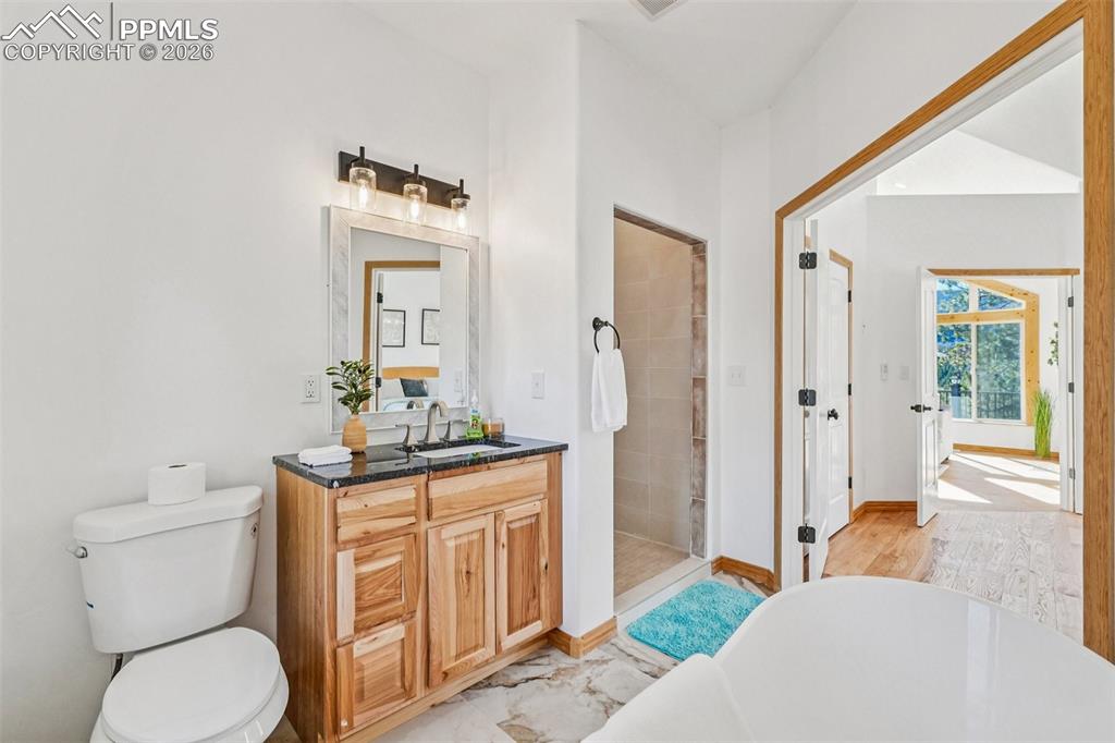 507 Yorktown Road Cripple Creek, CO 80813 - Photo 26 of 50 a bathroom with a toilet a sink and a mirror