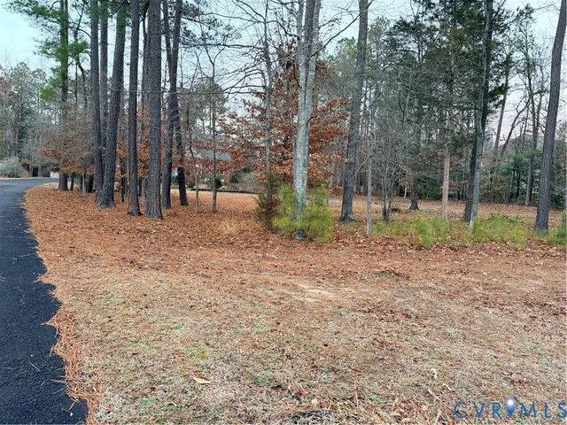 a view of outdoor space with trees