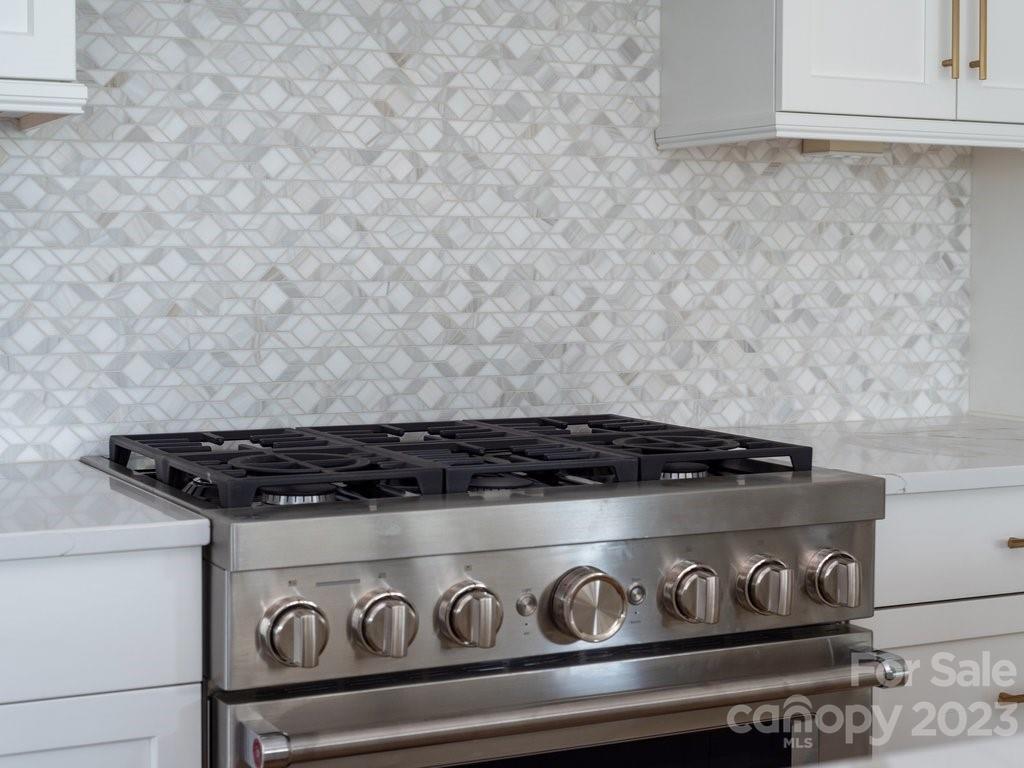 14839 Laura Michelle Road, Unit 66 Huntersville, NC 28078 - Photo 13 of 42 a close view of stove