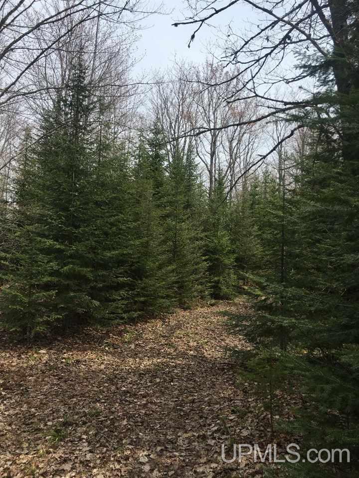 Tbd Tbd Co Road Marquette, MI 49855 - Photo 9 of 11