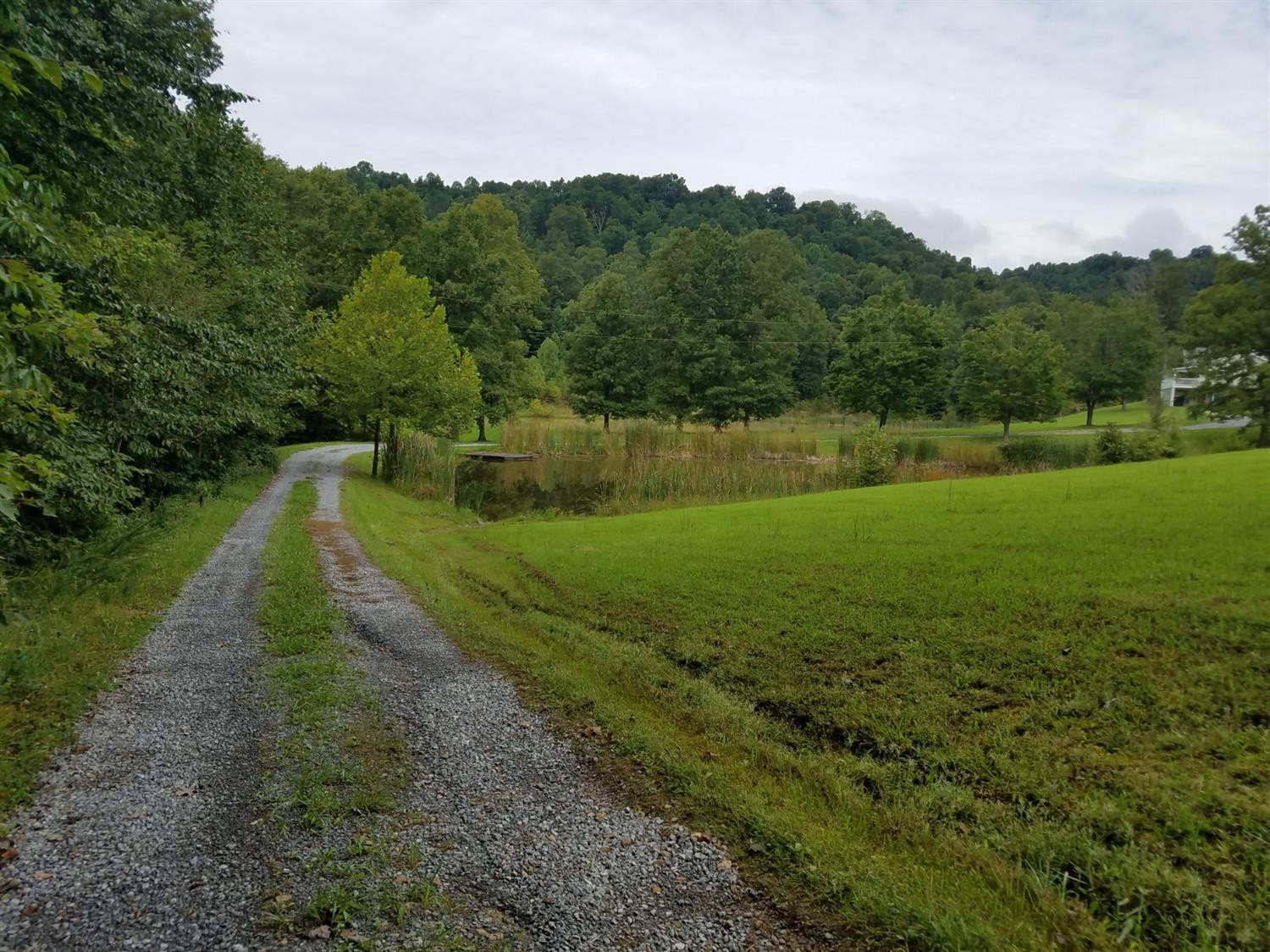2369 Mitchellsburg Knob Road Parksville, KY 40464 - Photo 36 of 88 Photo 37