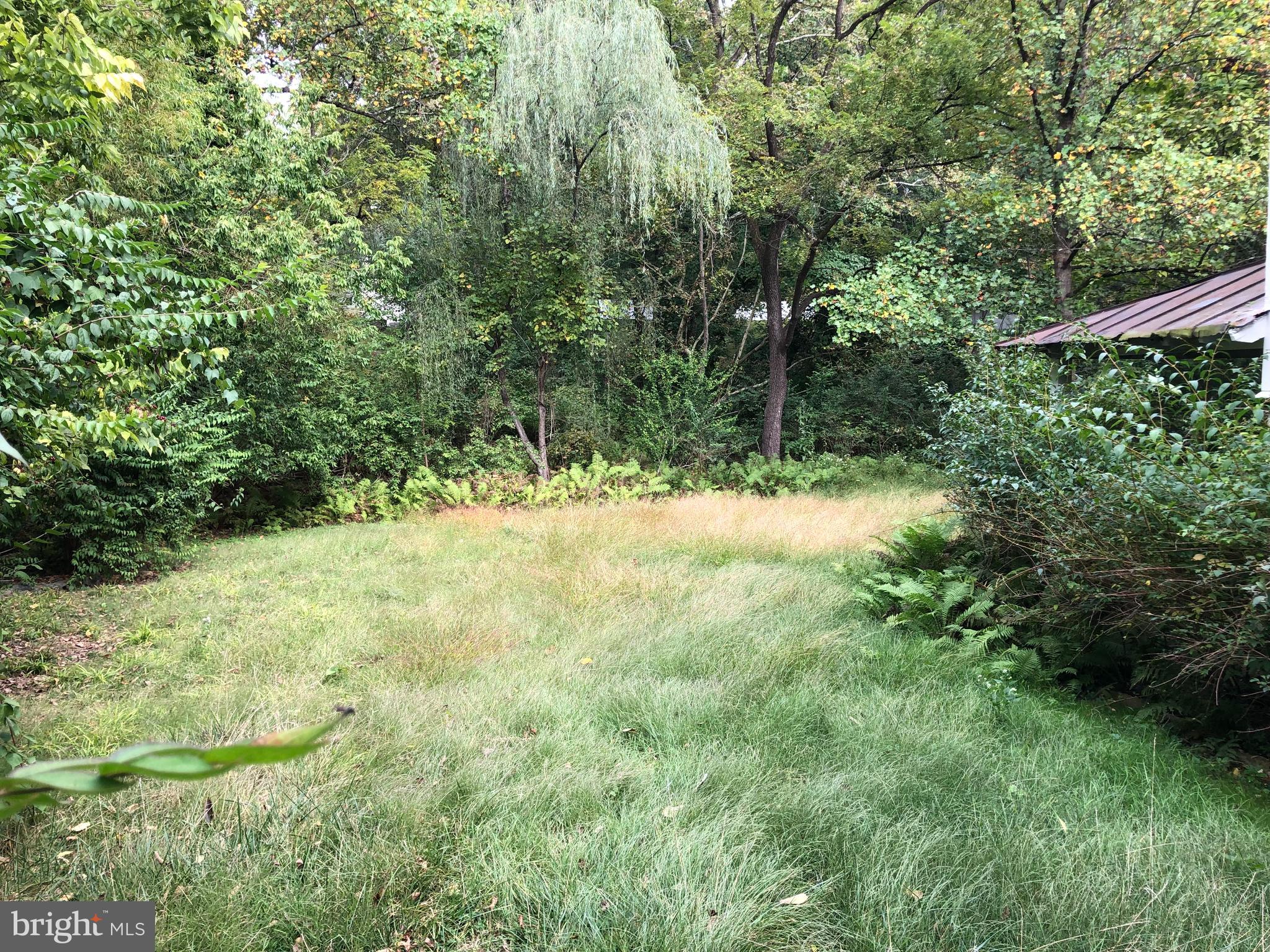 77 Deepdale Road Wayne, PA 19087 - Photo 3 of 5 a view of a yard with a tree