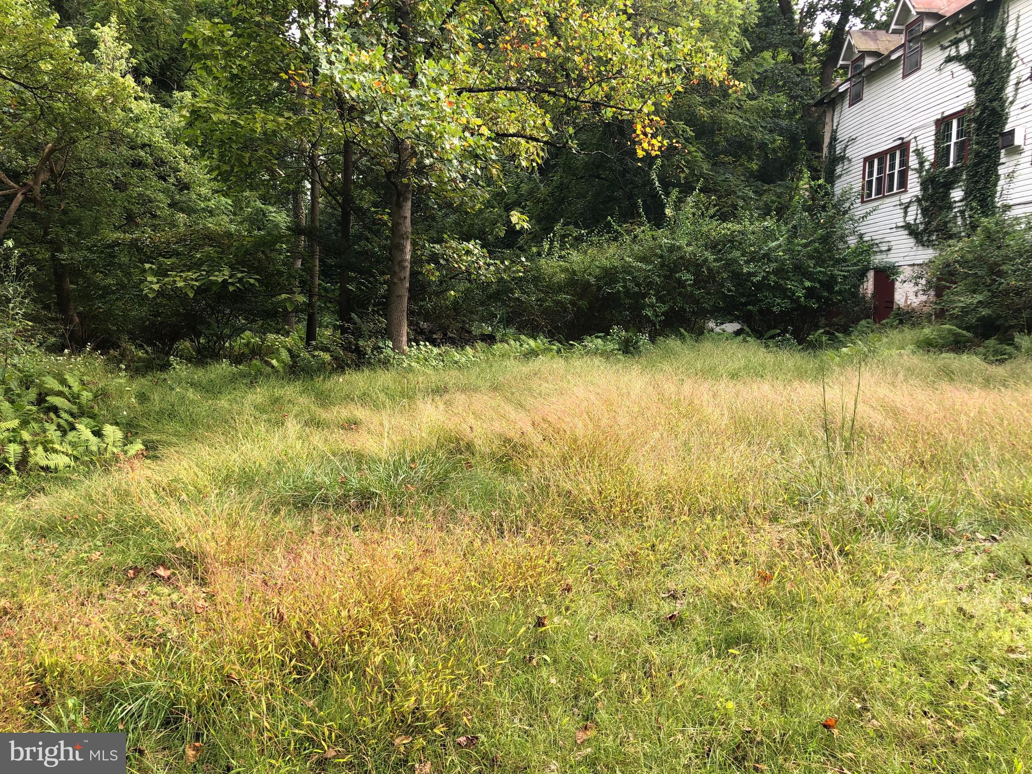 77 Deepdale Road Wayne, PA 19087 - Photo 4 of 5 a view of outdoor space and yard