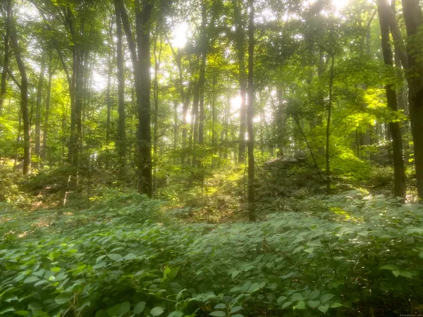 $179,900 | 6716 Main Street, Trumbull, CT 06611