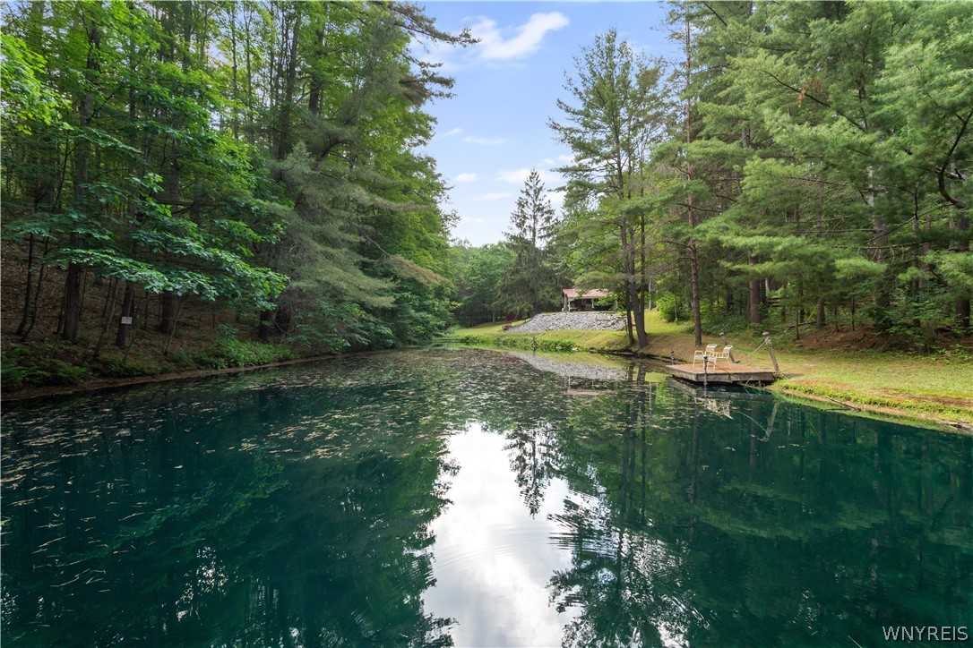 9173 Lyman Road Clarksville, NY 14727 - Photo 42 of 48 Pond