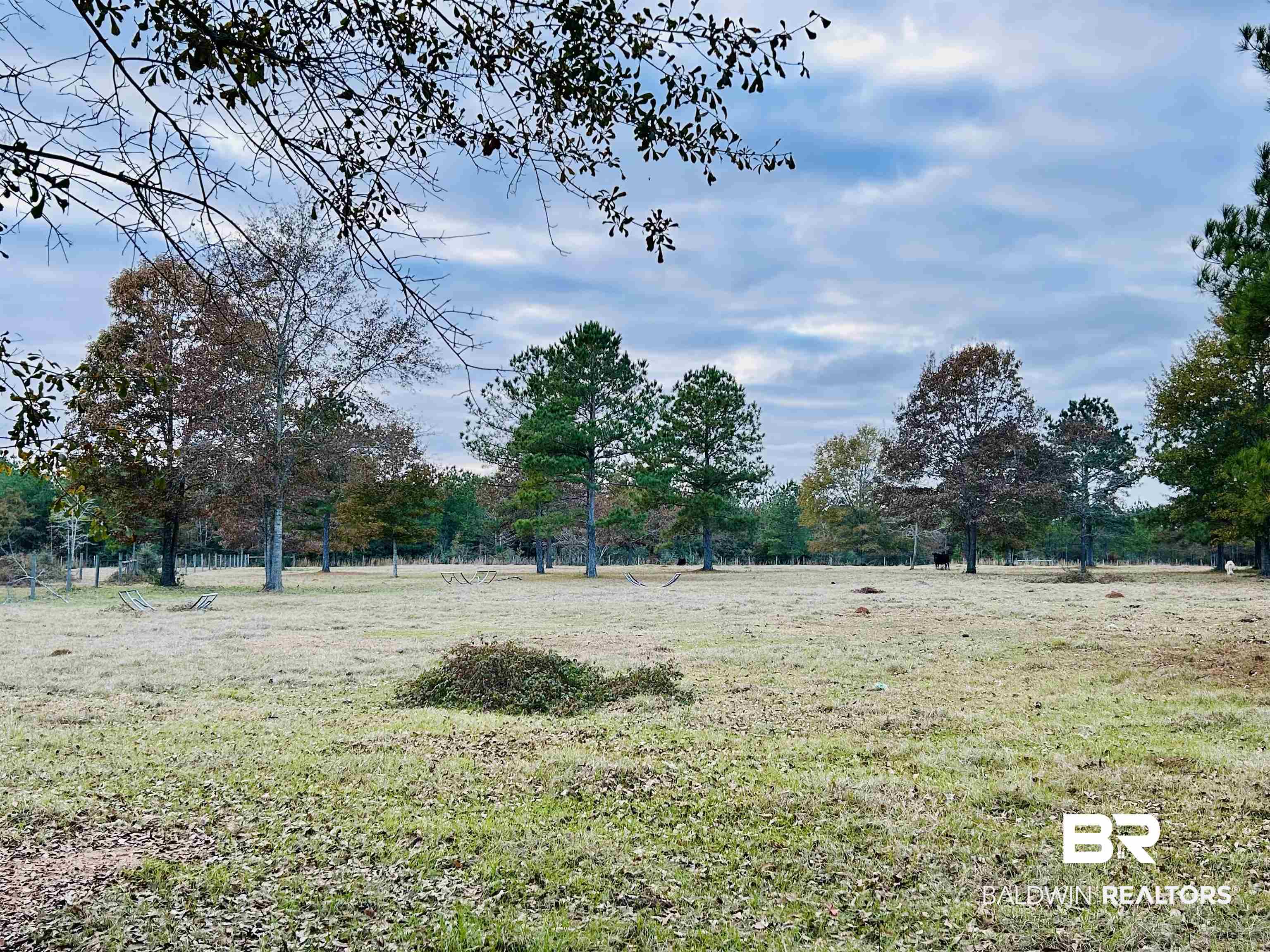585 Dogwood Road Brewton, AL 36426 - Photo 2 of 3 View of yard
