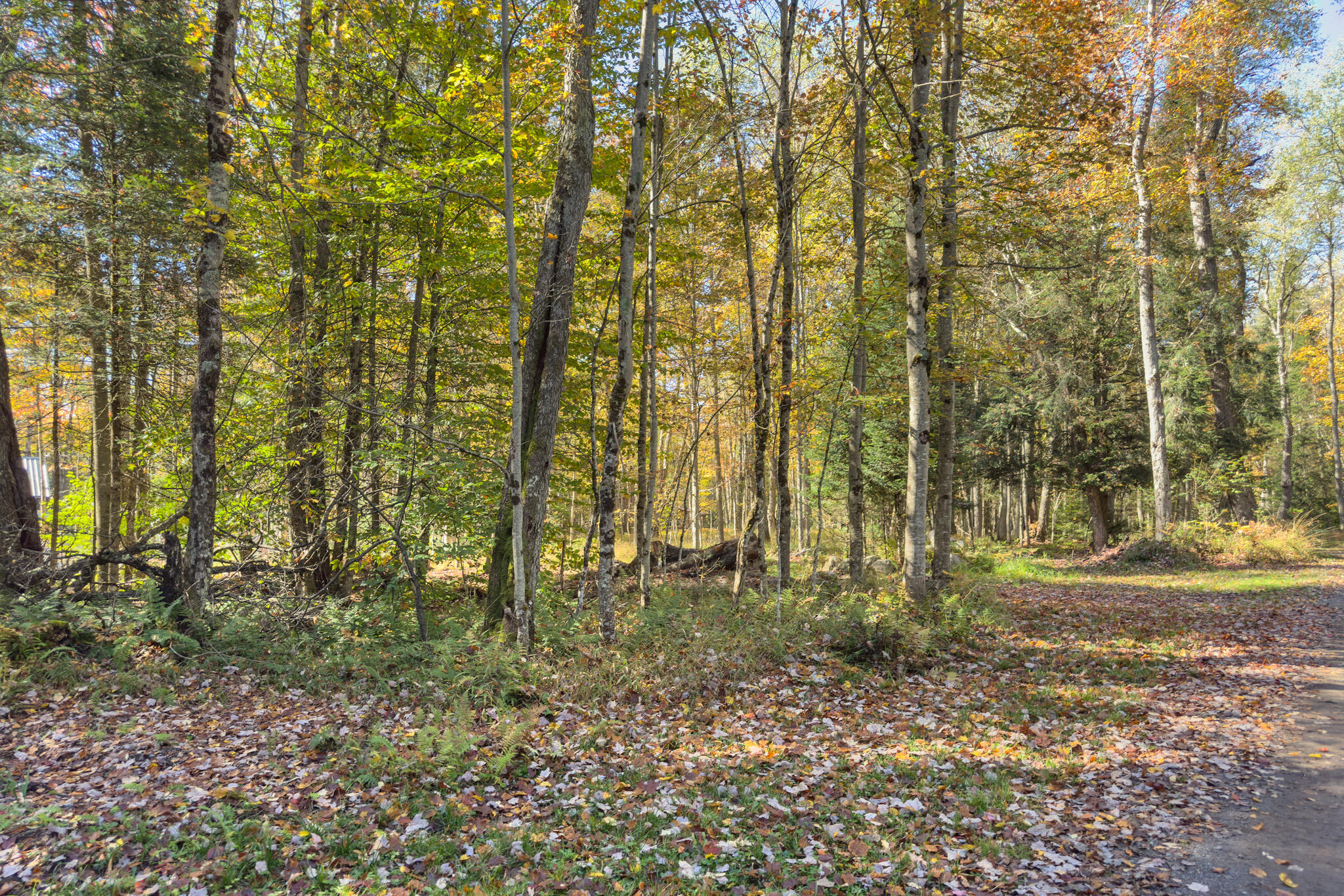 0 South Road East Forestport, NY 13338 - Photo 24 of 29 IMG_3423