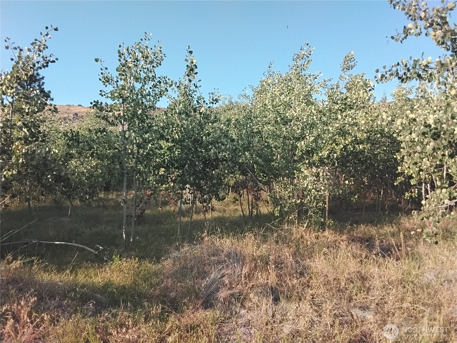 4 Painted Rock Road Riverside, WA 98849 - Photo 2 of 8 a view of a lake view