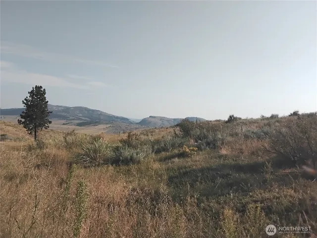 a view of a dry yard with mountains in the background