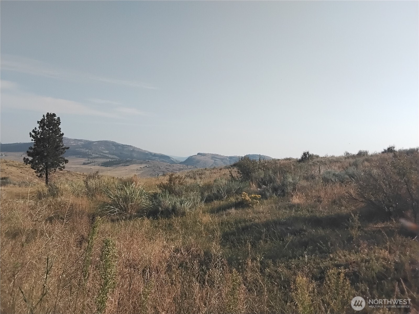 4 Painted Rock Road Riverside, WA 98849 - Photo 3 of 8 a view of a dry yard with mountains in the background