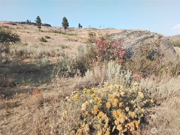 a view of a snow on the top of a mountain