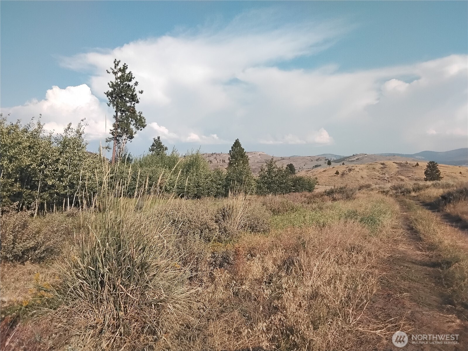 4 Painted Rock Road Riverside, WA 98849 - Photo 6 of 8 a view of a dry yard