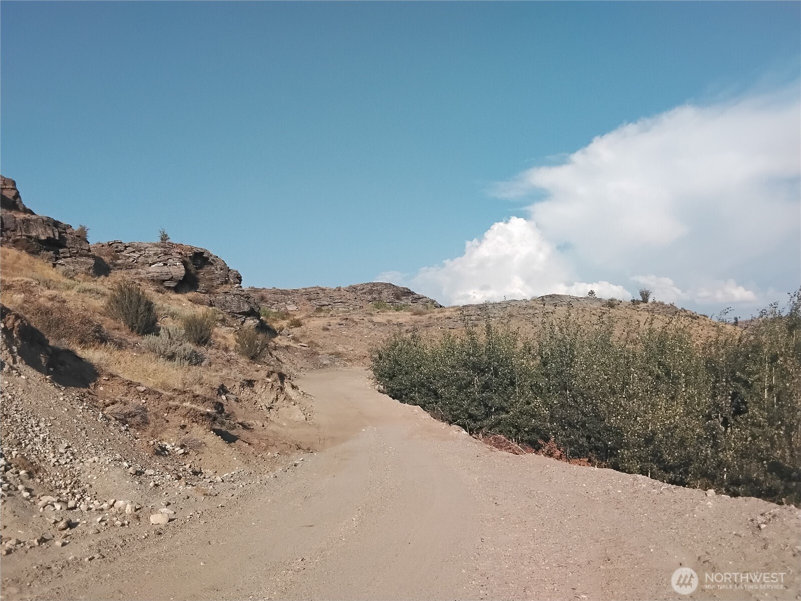 4 Painted Rock Road Riverside, WA 98849 - Photo 7 of 8 a view of a dry yard