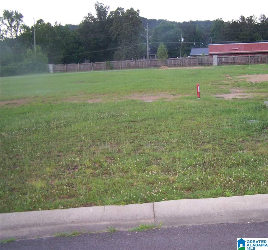 Mercedes Lane Cleveland, AL 35049 - Photo 9 of 9