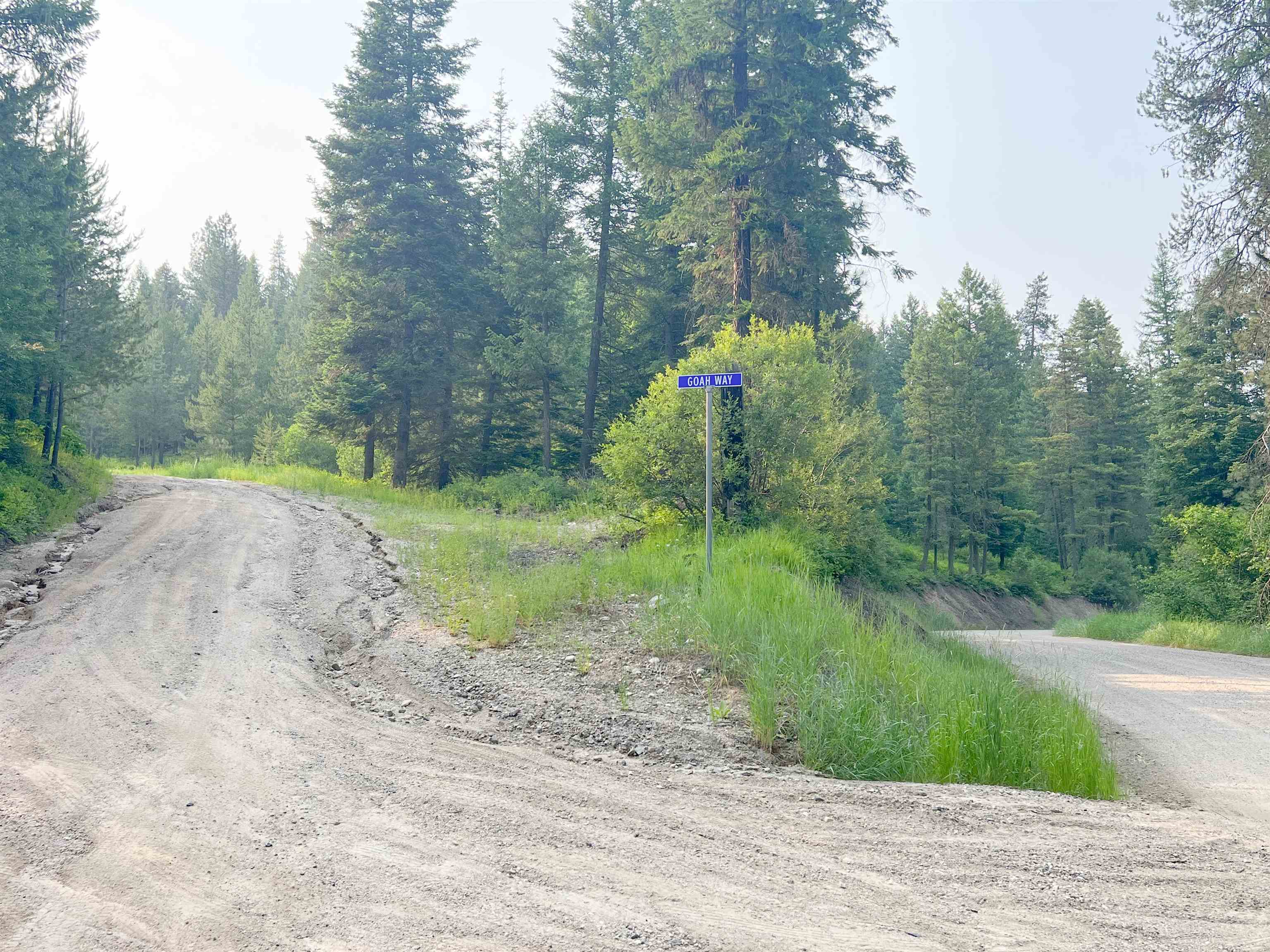 5174 Goah Way Springdale, WA 99173 - Photo 4 of 9