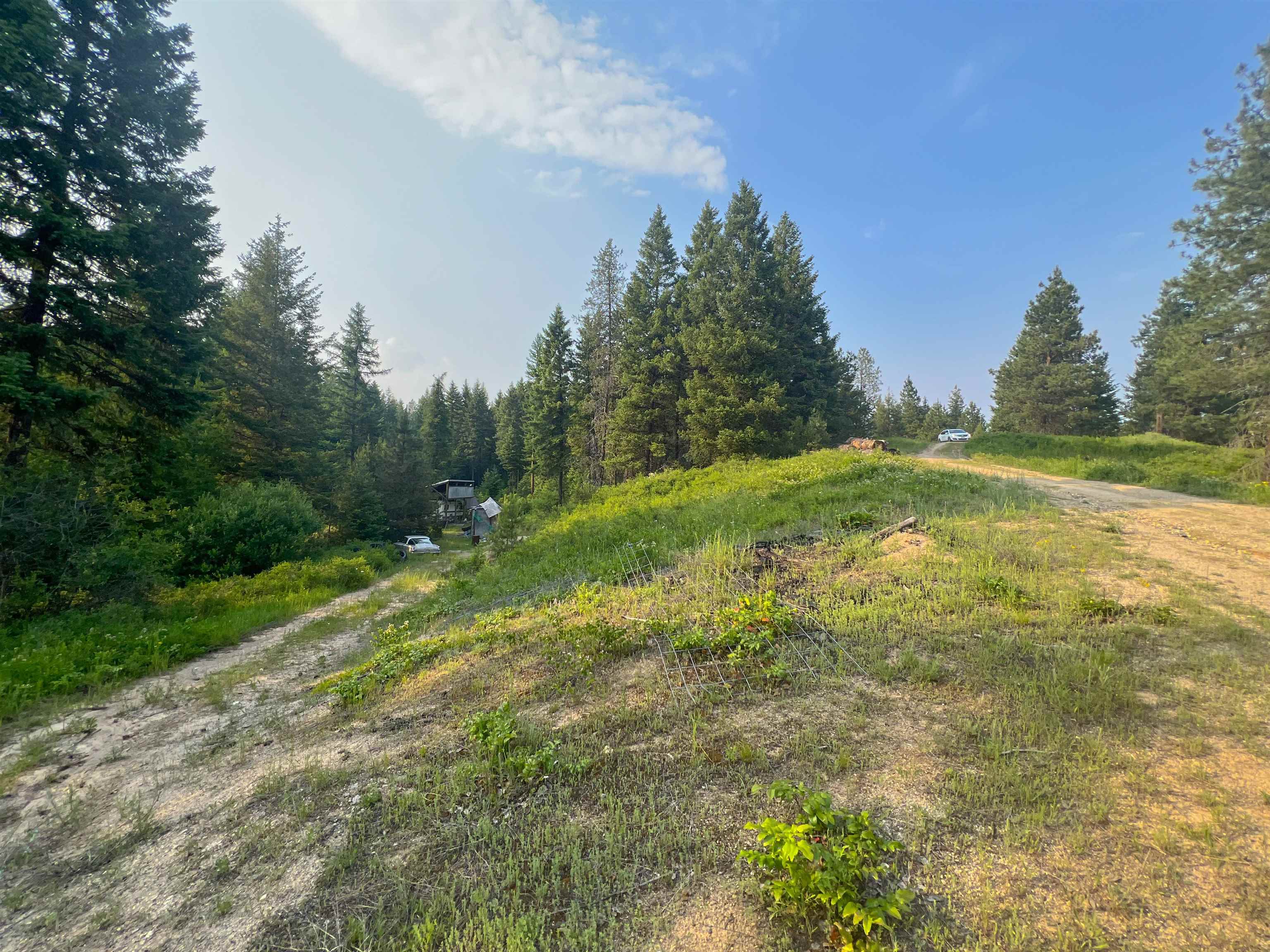 5174 Goah Way Springdale, WA 99173 - Photo 8 of 9