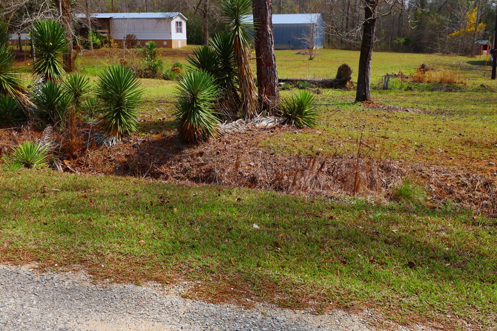 550 Forest Boulevard Abbeville, AL 36310 - Photo 22 of 29