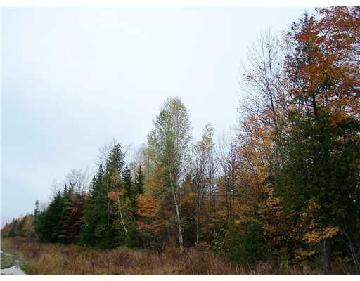 700 Butterfield Ridge Road Lincoln, ME 04457 - Photo 2 of 12 Land/Lot.