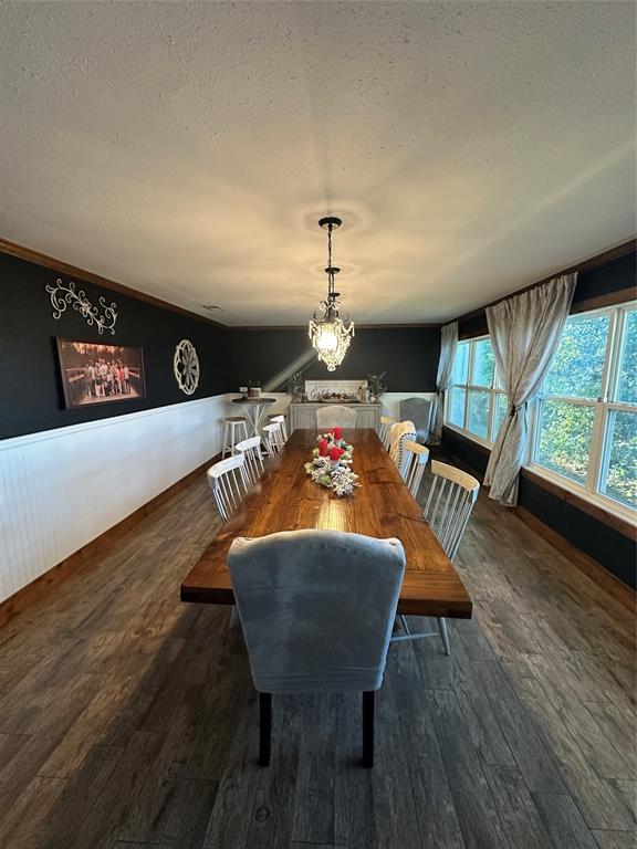 101 Twin Creek Road Comanche, TX 76442 - Photo 17 of 28 Dining area with a textured ceiling, wainscoting, a chandelier, and dark wood-style flooring