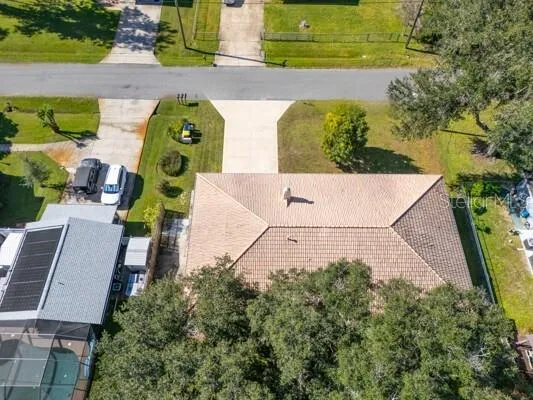 a view of a park with large trees