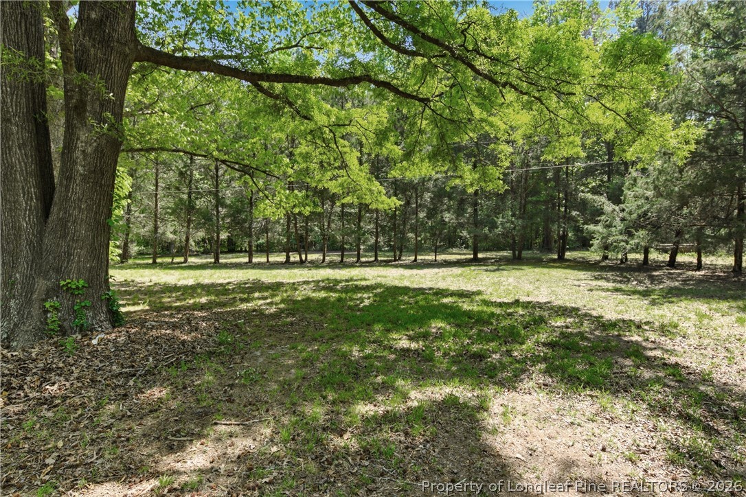 2162 Dobbin Holmes Road Eastover, NC 28312 - Photo 45 of 50