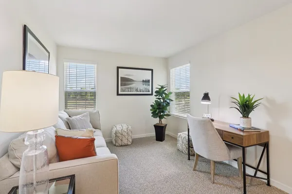 a living room with furniture and a potted plant