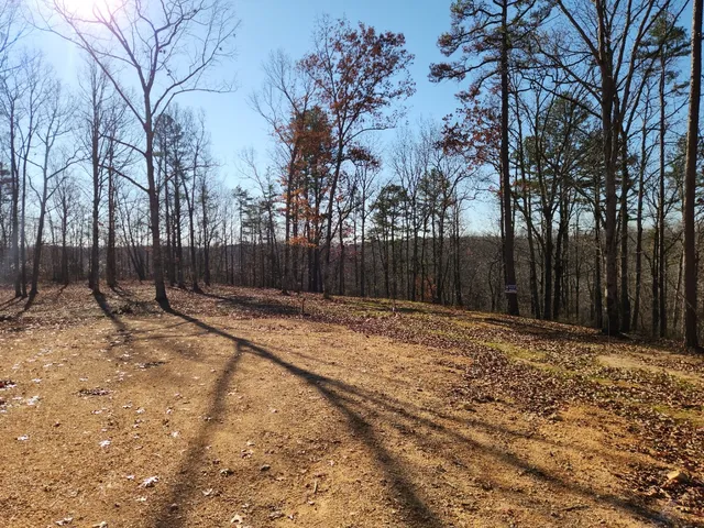 a view of a yard with wooden fence