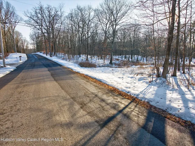 a view of a yard with snow on the road