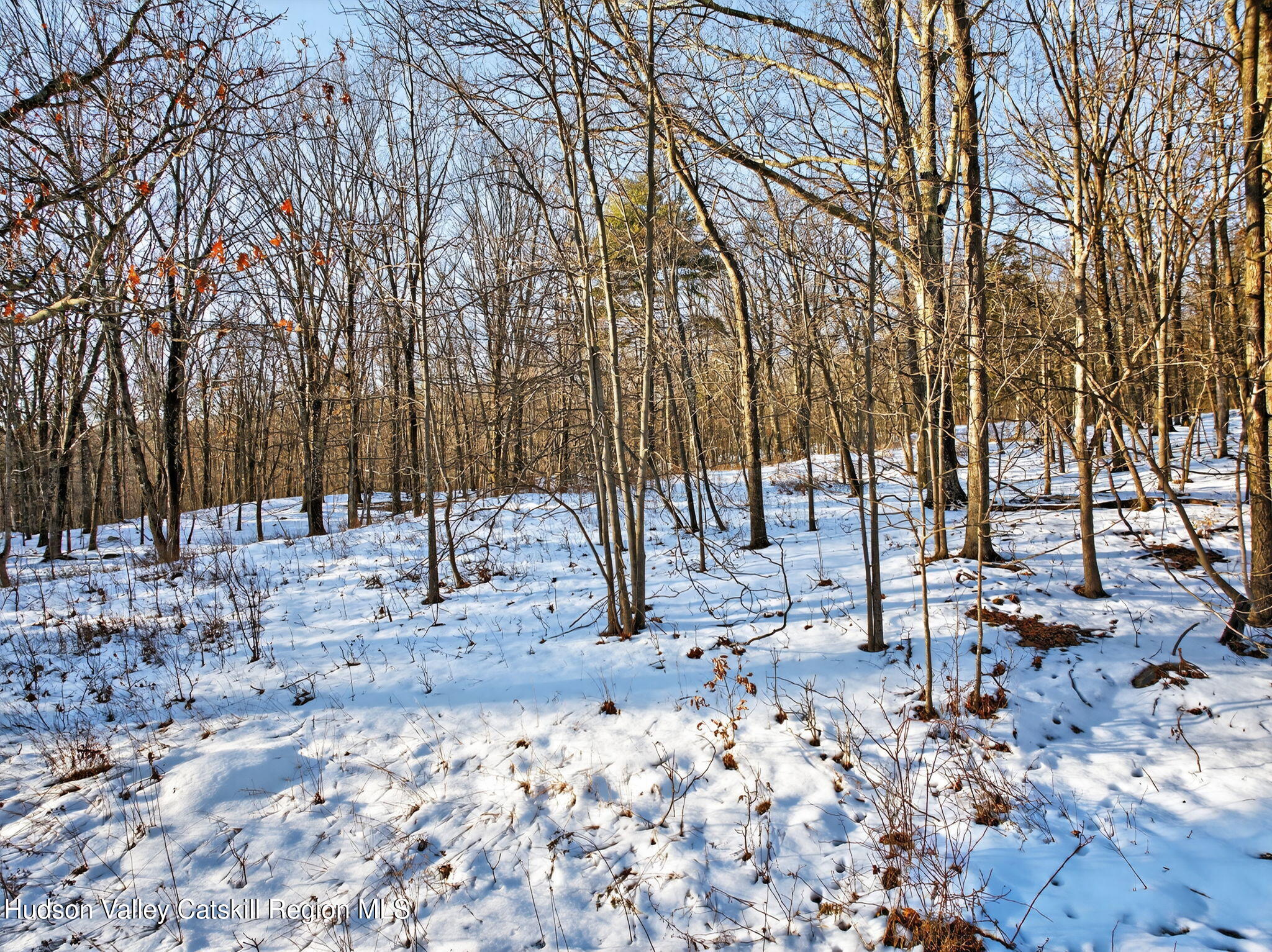 Tbd Hicks Hill Road Stanfordville, NY 12581 - Photo 15 of 31 a backyard of a house with lots of green space and trees