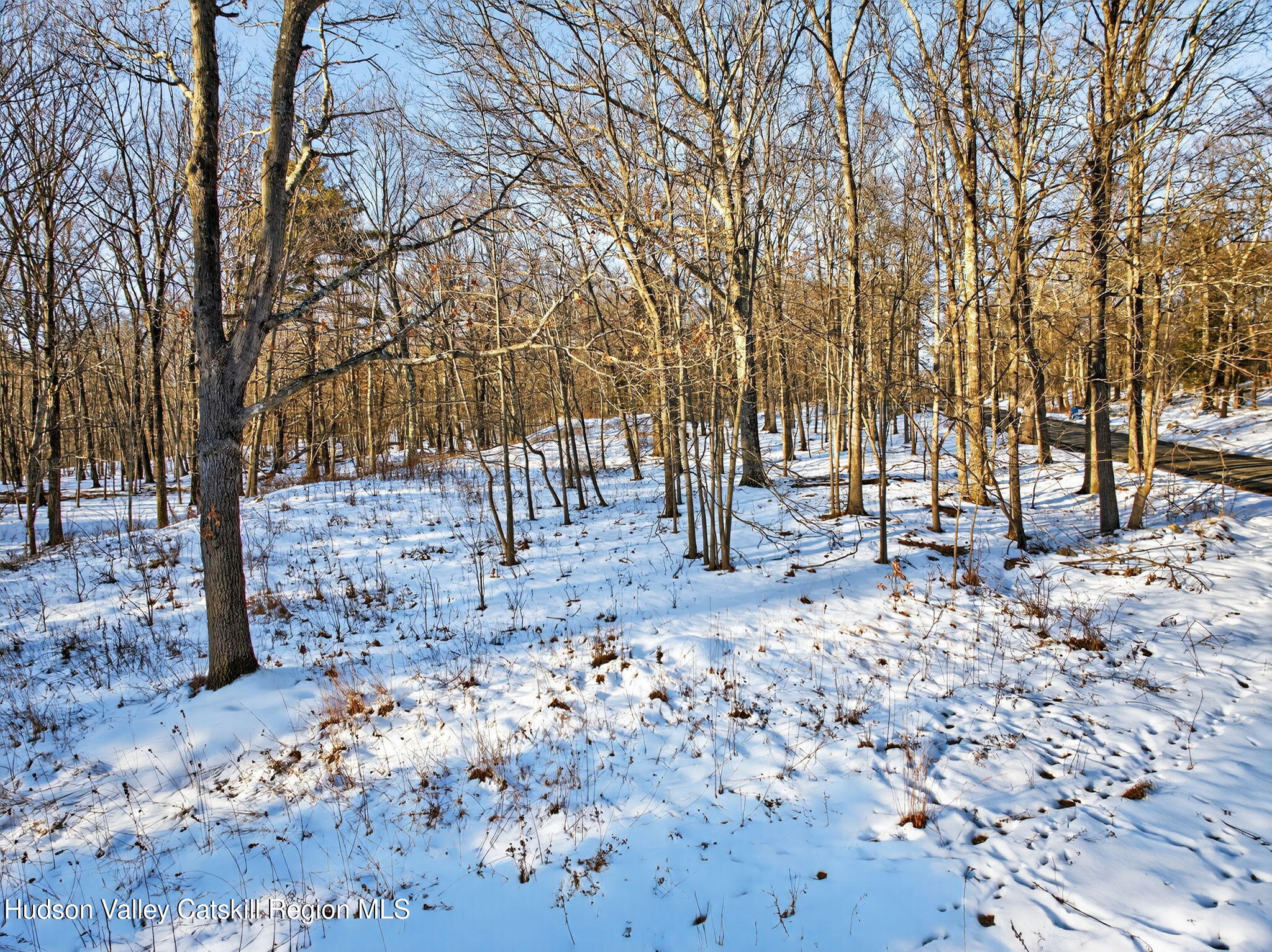 Tbd Hicks Hill Road Stanfordville, NY 12581 - Photo 17 of 31