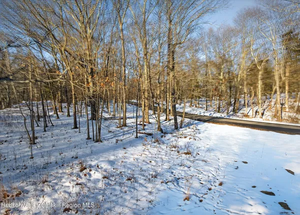 a view of a yard with a large trees