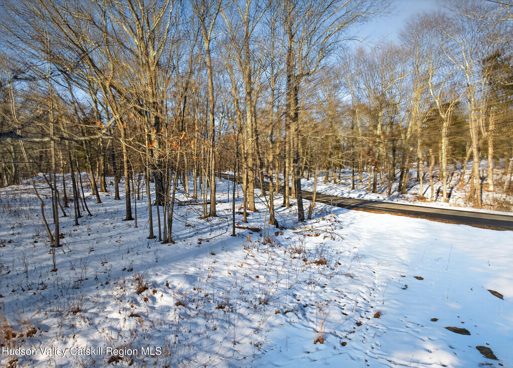 Tbd Hicks Hill Road Stanfordville, NY 12581 - Photo 18 of 31 a backyard of a house with lots of green space